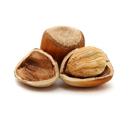 Closeup of hazelnuts
