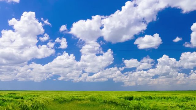 Green wheat field and blue sky with white clouds  / Green wheat field and blue sky with white clouds in windy day, time lapse