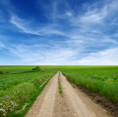 road in field and blue sky