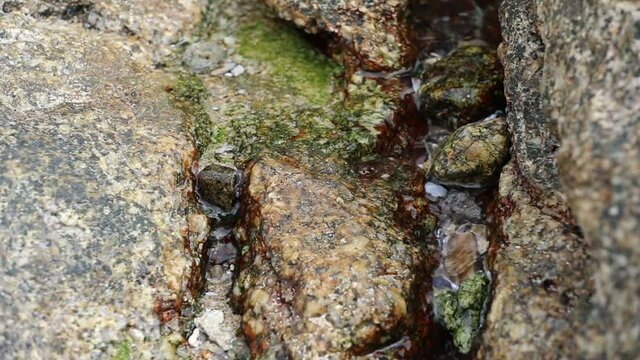 Creek in stones - slow motion