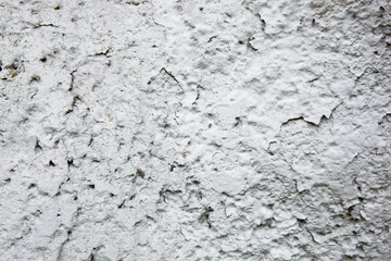 Whitewashed wall with rich and various texture