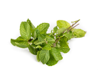 Fresh aromatic peppermint leafs on white background