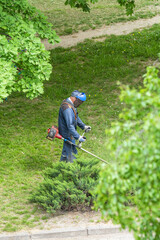 A man mows the grass in the yard with a trimmer 