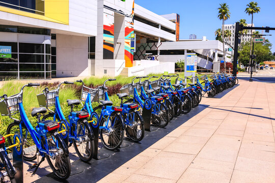 Blue Rental cycles in downtown Tampa Florida