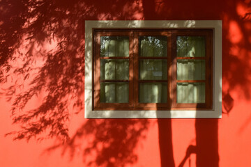 Shadow of tree and leave on red wall with window