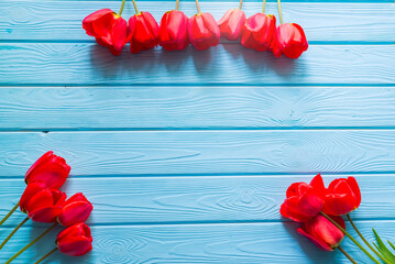 Fresh Red tulips flowers on blue wooden background.Spring concept. Beautiful Card for Happy Mother’s Day, Valentine’s Day, Woman’s Day 8 March. Top view,flat lay,copy space. Floral border