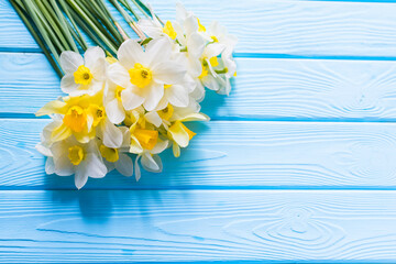 Happy Mother’s Day or spring Easter background with fresh white and yellow daffodils (narcissuses) flowers close up on blue wooden planks. Copy space for text, top view, flat lay.