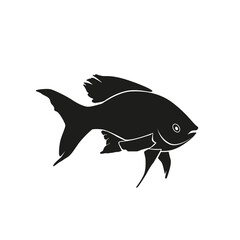 Fish silhouettes on the white background
