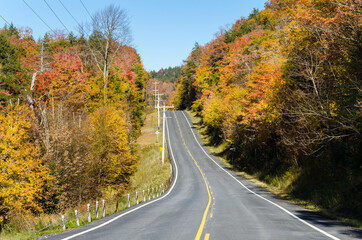 Empty Upward Road through a Beautiful Autumn Forest on a Sunny Day