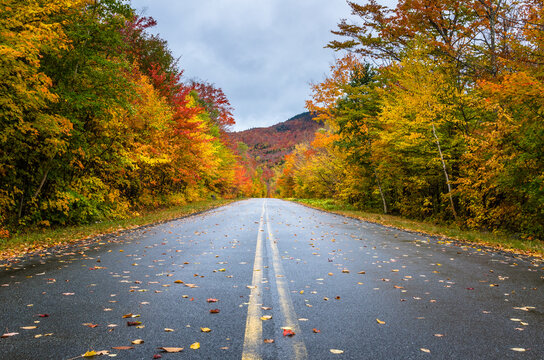 Deserted Mountain Road on a Rainy Autumn Day. Gorgeous Fall Colors. Adirondacks, Upstate New York - Powered by Adobe