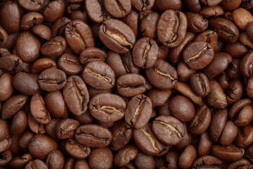 Group of brown coffee grains background, macro, close-up