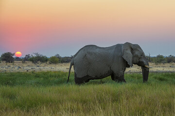 Tramonto africano