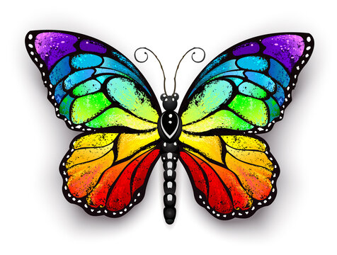 Rainbow monarch butterfly
