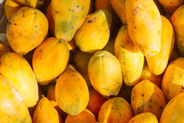 Pile of yellow papayas stacked in a fruit shop
