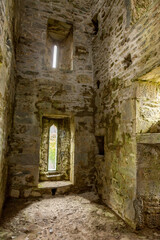 Fototapeta na wymiar Abbaye de Muckross, Irlande