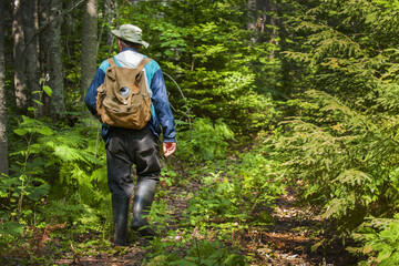 Active senior adult man hiking in woods.