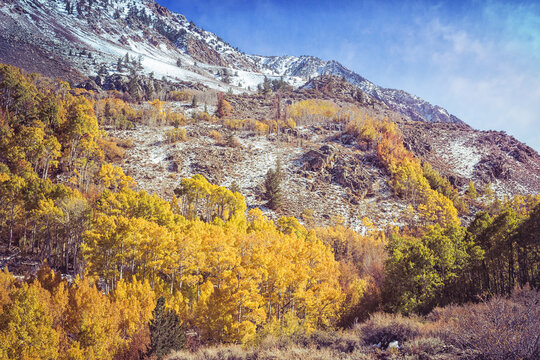 Fall near Aspendell