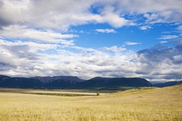 Fototapeta na wymiar Kurai steppe landscape. Altai, Russia