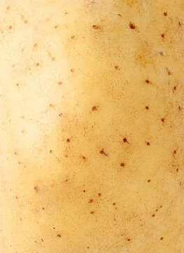 Raw potato texture close up, food background