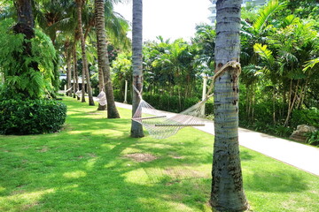 Empty hammock between palm trees