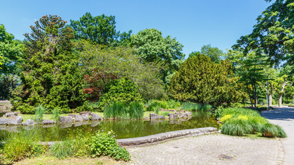 Teich im Verna-Park, Rüsselsheim, Deutschland. Mai 2017.