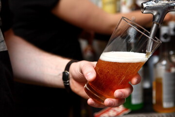 beer