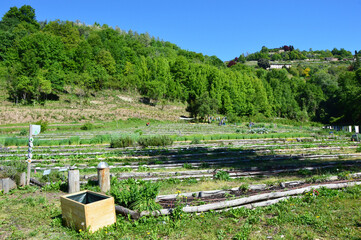 Botanical Garden The Valley of Biodiversity Astino Section of Bergamo city, La Valle della...