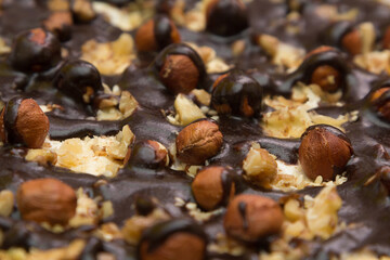 Cake with hazelnuts and chocolate - texture