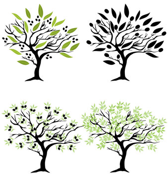 Vector Olive Trees
