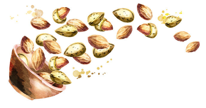 Bowl with almonds. Hand drawn horizontal watercolor