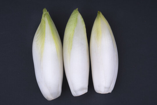 Chicor&eacute;e, feines Gem&uuml;se 1