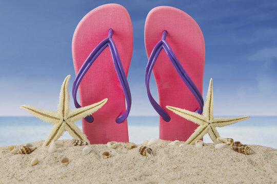Pink flip flops and starfishes on beach