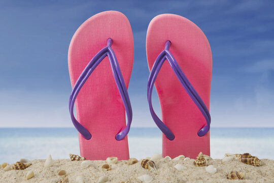 Pink sandal and seashells on the beach