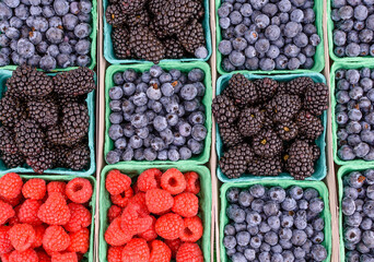 Blueberry basket surrounded by other berries