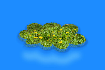 Field with green grass and yellow dandelions in the shape of a flower, isolated on blue background
