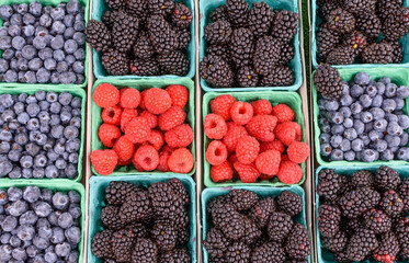 Raspberry in middle of berry baskets