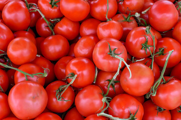 Crate of tomatoes at farmer's market