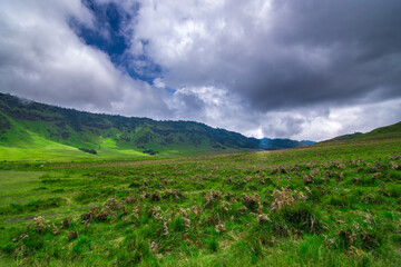 Fototapeta na wymiar Savana landscape view of Bromo mount