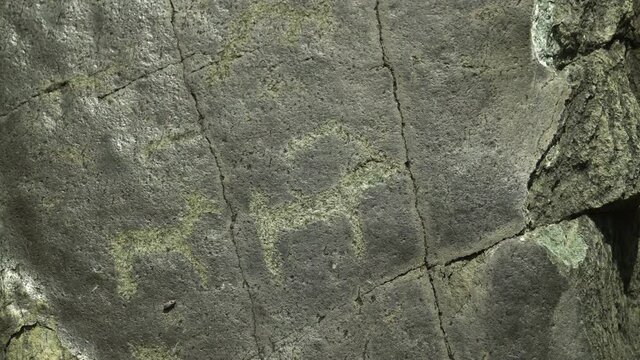 Petroglyph of goats on the rock. Altay, Russia. Slider shot.