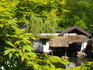 Green tree in the foreground in the background a pond and a blurry straw roof house 