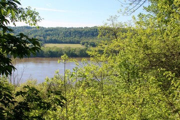 A view of the river from the forest.