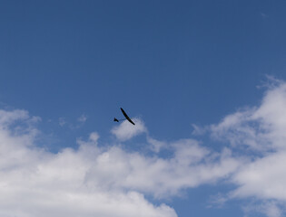 Aircraft model during sunset. Slovakia