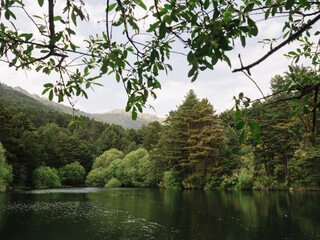 Fototapeta na wymiar Lake with trees on mountains