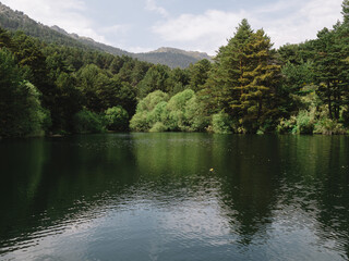 Lake with trees on mountains