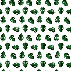 Obraz premium Seamless pattern with tropical leaves on a white background, vector