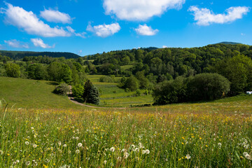 Frühling in Thüringen