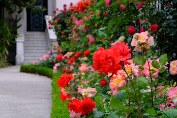 Massena Palace Gardens, Nice