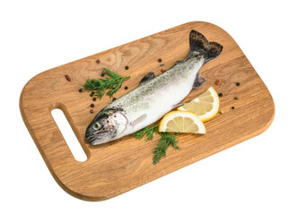 Trout fish isolated on white without shadow