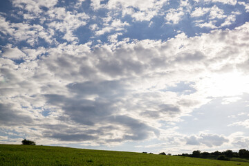 Green meadow during sunny and cloudy afternoon. Slovakia