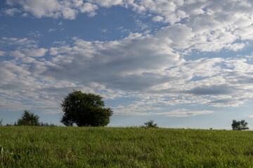 Green meadow during sunny and cloudy afternoon. Slovakia